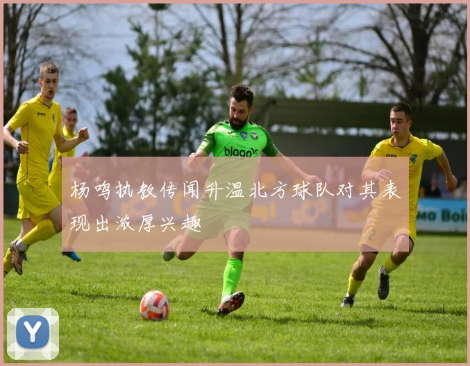 杨鸣执教传闻升温北方球队对其表现出浓厚兴趣